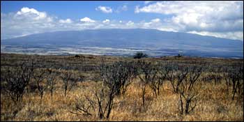 Mauna Kea